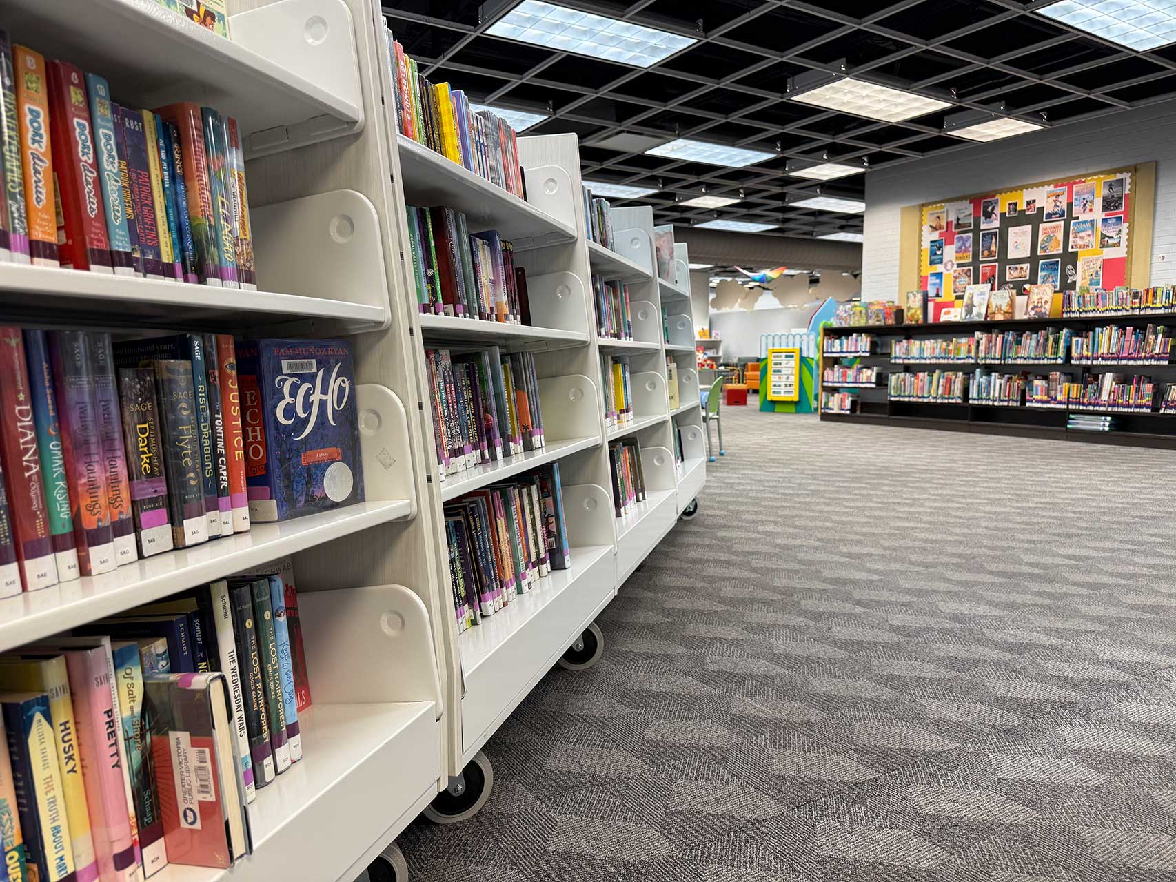 bookstacks in the library are seen