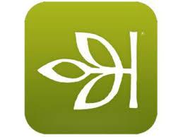 Ancestry logo of leaf icon