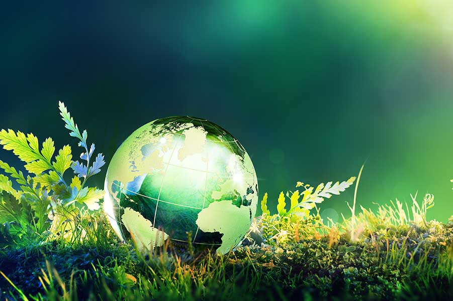 Green globe nestled in ferns