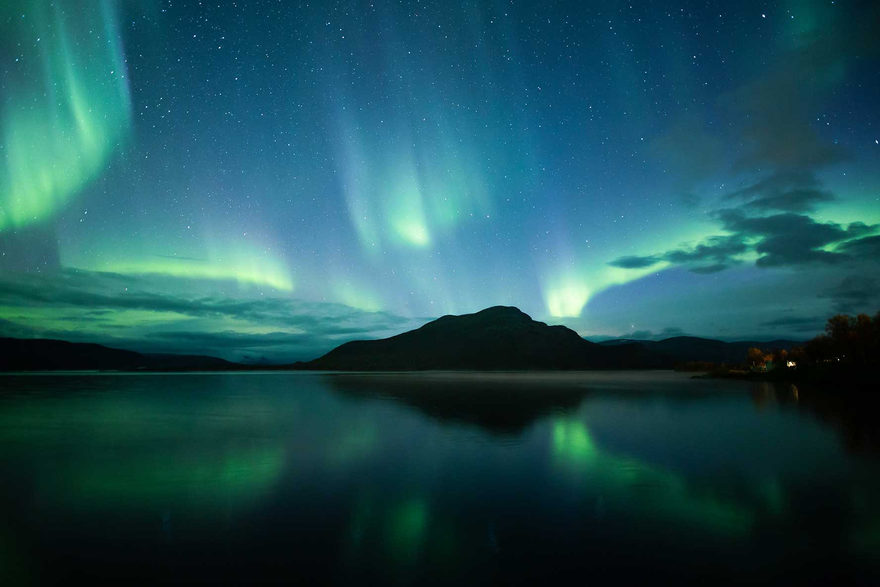Auroras in the night sky
