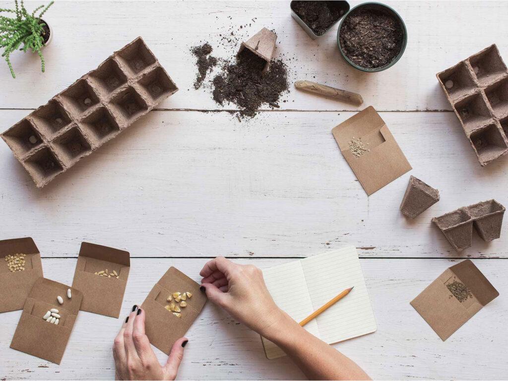 Overhead view of hand adding various seeds to different packages.